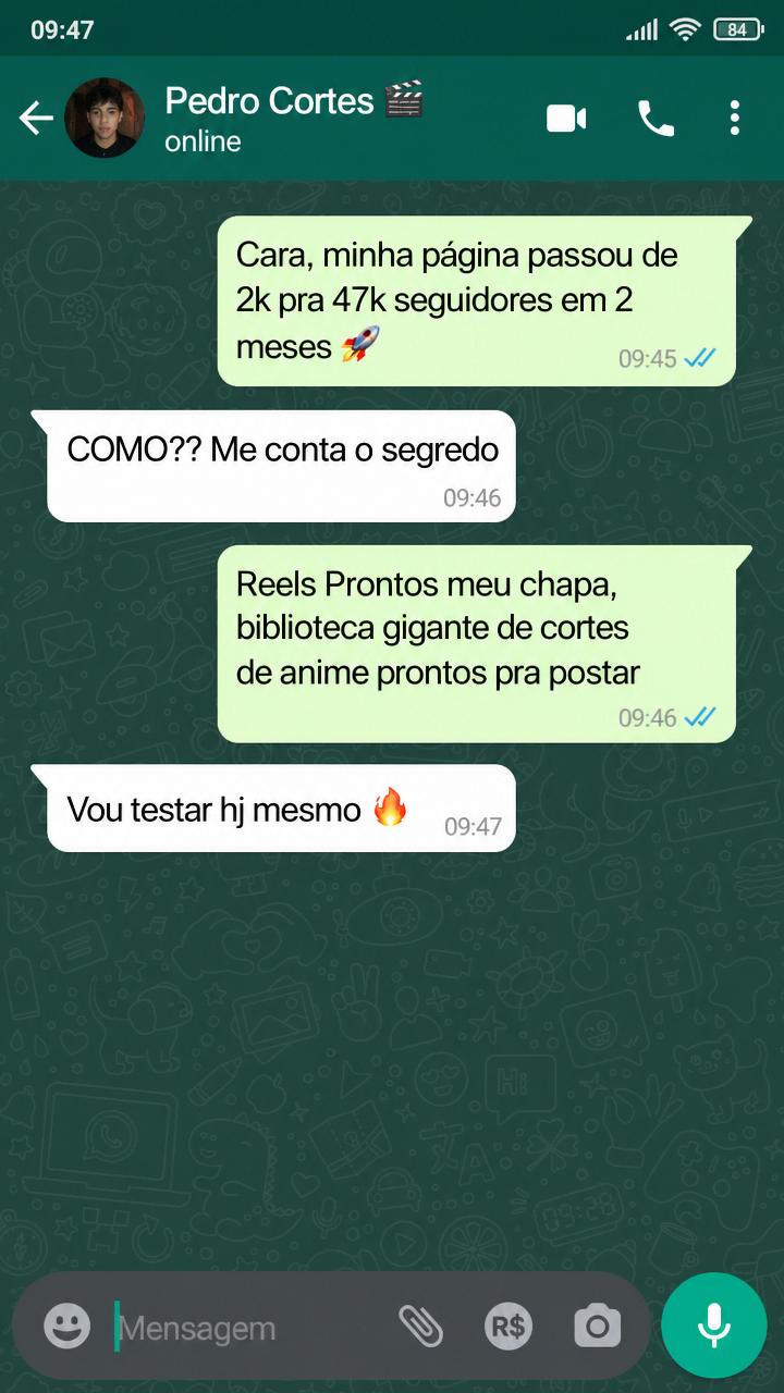 Cliente contando crescimento da página no WhatsApp